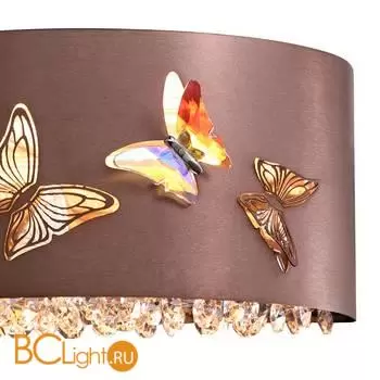 Настенный светильник Lightstar Faraone 701611 - Фото 2