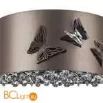 Настенный светильник Lightstar Faraone 701611 - Фото 1