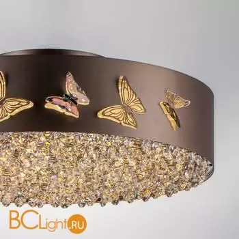 Потолочный светильник Lightstar Faraone 701021 - Фото 0