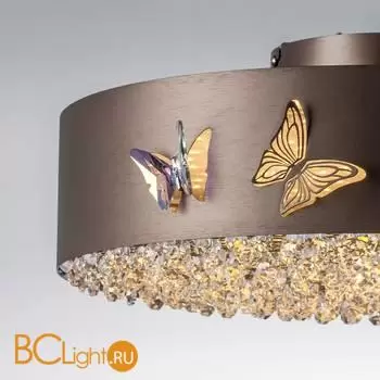 Потолочный светильник Lightstar Faraone 701021 - Фото 1