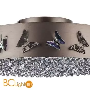 Потолочный светильник Lightstar Faraone 701021 - Фото 2