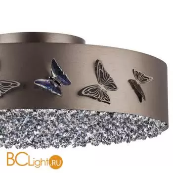 Потолочный светильник Lightstar Faraone 701021 - Фото 3