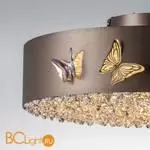 Потолочный светильник Lightstar Faraone 701021 - Фото 1