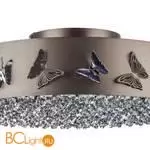 Потолочный светильник Lightstar Faraone 701021 - Фото 2