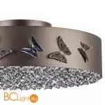 Потолочный светильник Lightstar Faraone 701021 - Фото 3