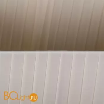 Настольная лампа Lightstar Faraone 870936 - Фото 4