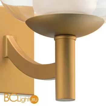 Бра Lightstar Fiamma 730623 - Фото 2