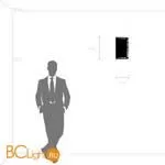 Настенный светильник Lightstar Firenze 725523 - Фото 0