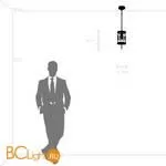 Подвесной светильник Lightstar Firenze 725113 - Фото 3