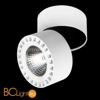 Потолочный светильник Lightstar Forte 381363