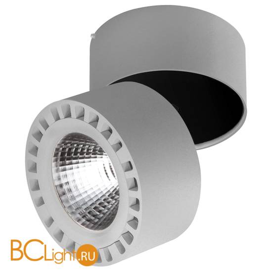 Потолочный светильник Lightstar Forte 381394
