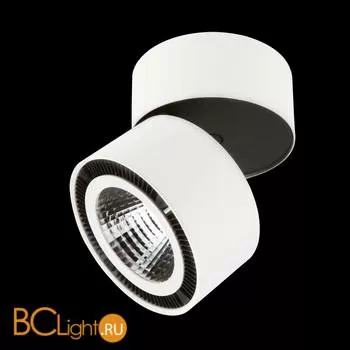 Потолочный светильник Lightstar Forte 213816