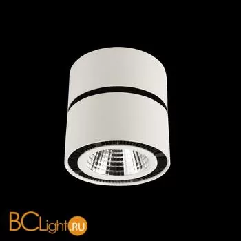 Спот (точечный светильник) Lightstar Forte Muro 214810 - Фото 1