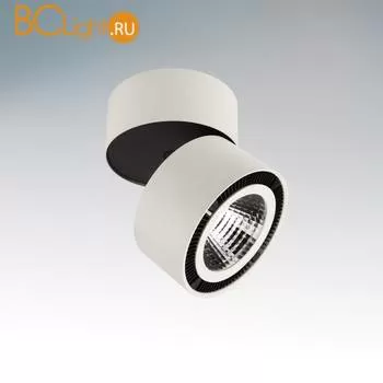 Потолочный светильник Lightstar Forte 213840