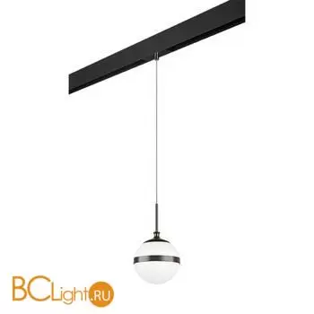 Трековый светильник Lightstar Globo new PRO813117