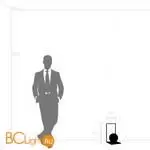 Настольный светильник Lightstar Globo new 803910 - Фото 0