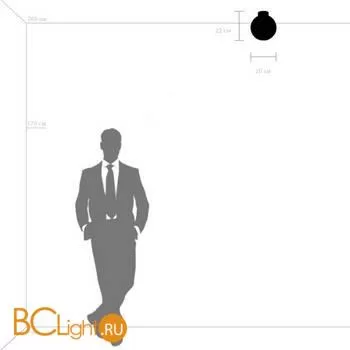 Настенно-потолочный светильник Lightstar Globo 812023 - Фото 0