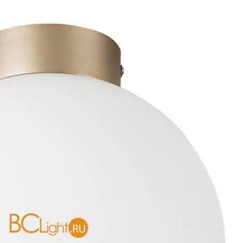 Настенно-потолочный светильник Lightstar Globo 812023 - Фото 1
