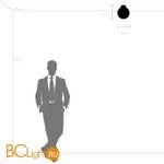 Настенно-потолочный светильник Lightstar Globo 812023 - Фото 0