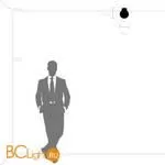 Настенно-потолочный светильник Lightstar Globo 812013 - Фото 0