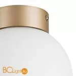 Настенно-потолочный светильник Lightstar Globo 812013 - Фото 1