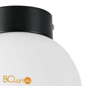 Настенно-потолочный светильник Lightstar Globo 812017 - Фото 1