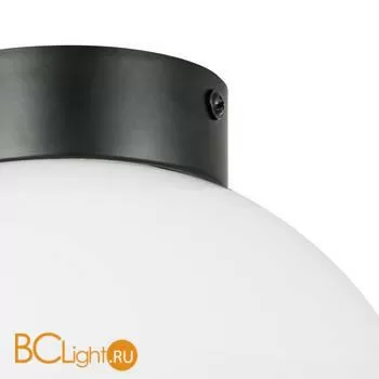 Настенно-потолочный светильник Lightstar Globo 812117 - Фото 1