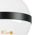 Настенно-потолочный светильник Lightstar Globo 812117 - Фото 2