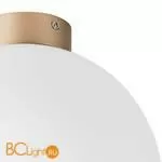 Настенно-потолочный светильник Lightstar Globo 812033 - Фото 1