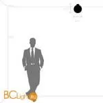 Настенно-потолочный светильник Lightstar Globo 812031 - Фото 0