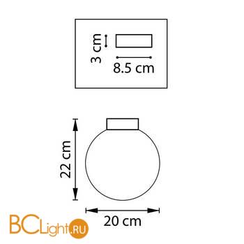 Настенно-потолочный светильник Lightstar Globo 812021 - Схема