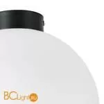 Настенно-потолочный светильник Lightstar Globo 812037 - Фото 1