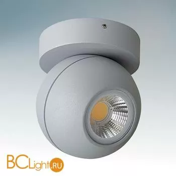 Накладной светильник Lightstar Globo 051009