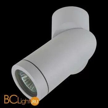 Встраиваемый спот (точечный светильник) Lightstar Illumo 051019R