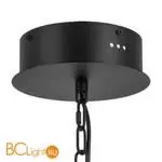 Люстра Lightstar Iris 734247 - Фото 0