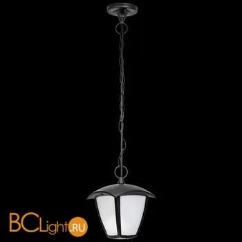 Уличный подвесной светильник Lightstar Lampione 375070 - Фото 0