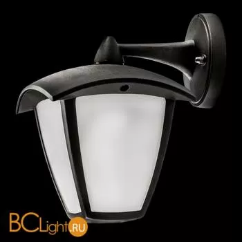 Уличный настенный светильник Lightstar Lampione 375680