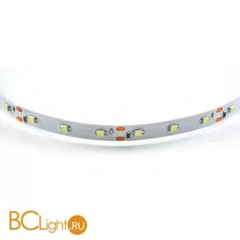 Светодиодная лента Lightstar LED strip light 400004 12V 4.8W 4200-4500К 210Lm IP20 - Фото 0
