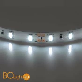 Светодиодная лента Lightstar LED strip light 400076 12V 28.8W 4200-4500K 2550Lm IP20