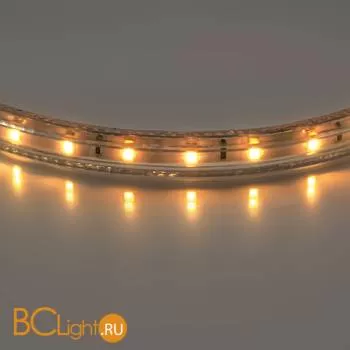 Светодиодная лента Lightstar LED strip light 402002 220V 2800K-3200K 210Lm IP65