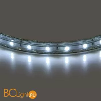 Светодиодная лента Lightstar LED strip light 402004