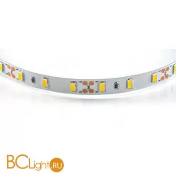 Светодиодная лента Lightstar LED strip light 400072 12V 28.8W 2700K-3000K 2550Lm IP20 - Фото 0