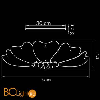 Потолочный светильник Lightstar Lobo 804020 - Схема