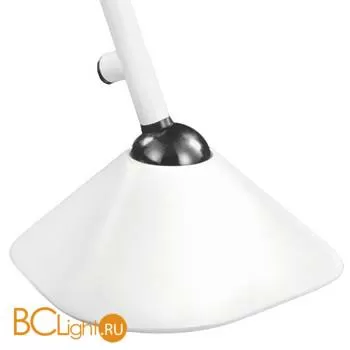 Настольная лампа Lightstar Loft 865916 - Фото 0