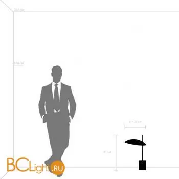 Настольная лампа Lightstar Marmara new 801916 - Фото 0