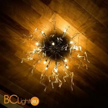 Потолочный светильник Lightstar Mocco 792124 - Фото 1