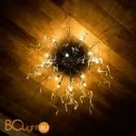 Потолочный светильник Lightstar Mocco 792124 - Фото 1