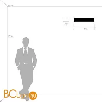 Настенный светильник Lightstar Monile new 704652 - Фото 3