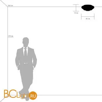 Потолочный светильник Lightstar Monile new 704062 - Фото 3