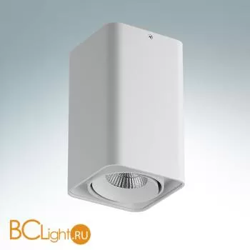 Накладной светодиодный светильник Lightstar Monocco 052136R